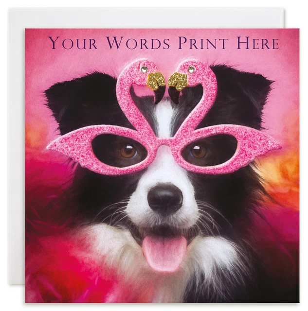 BORDER COLLIE DOG greeting card Personalised birthday thank you ...
