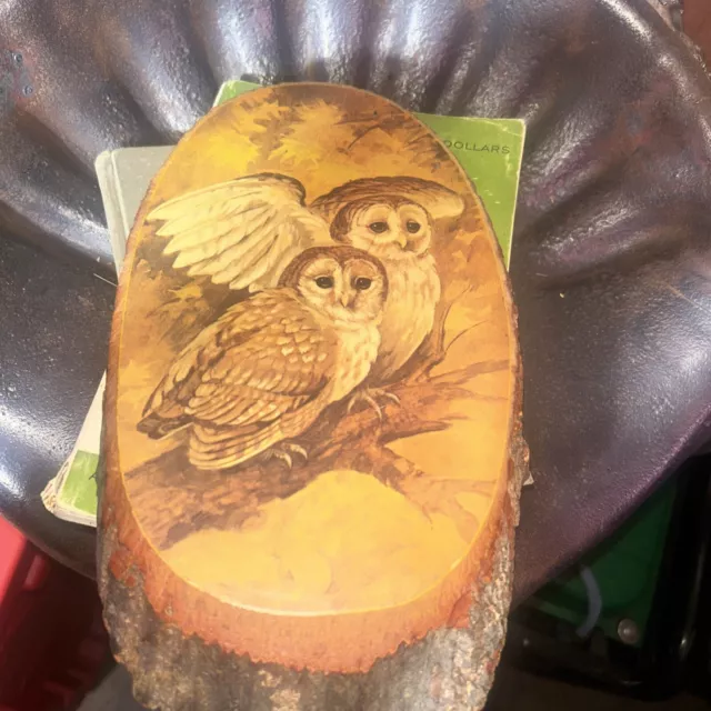 Vintage Owl Wood Slice Log Wall Hanging Colorado