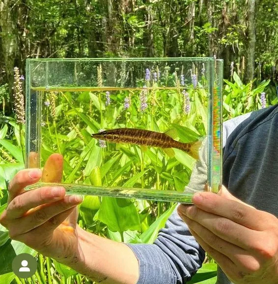 Glass Photo Tank for Aquarium Fish (Start Taking Amazing Pictures!)