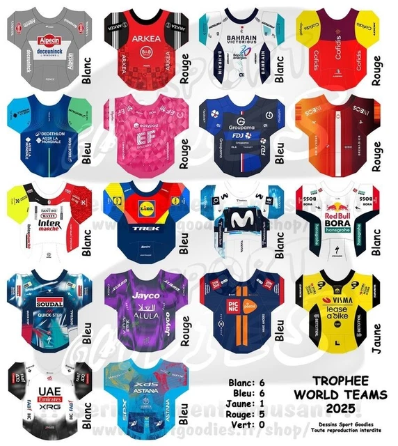 Autocollant / Sticker - Babolat Maillot Witt (réf. 24091632) - Neuf