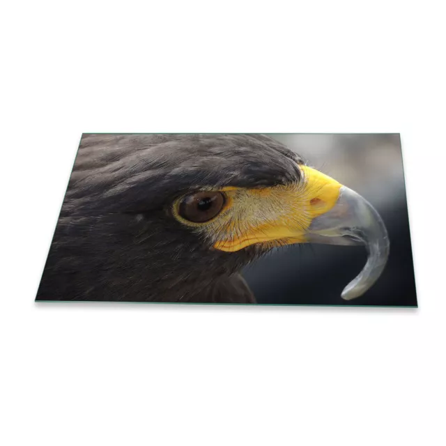 Placa de cubierta de cocina Ceran 90x52 águila gris cubierta vidrio protección contra salpicaduras cocina decoración