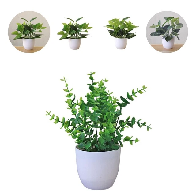 Planta de hoja caduca falsa, colores brillantes, decoración, desvanecimiento