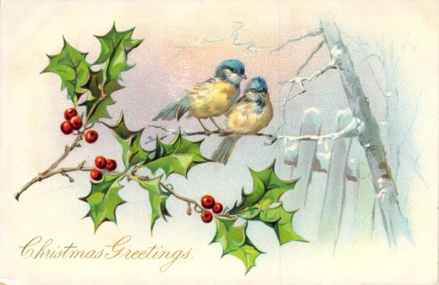 Vtg 1900s Postcard Christmas Greetings Blue Yellow Tit Birds Holly Berries UDB