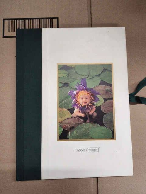 Album foto anne geddes a scatole e album fotografici | Acquisti Online su