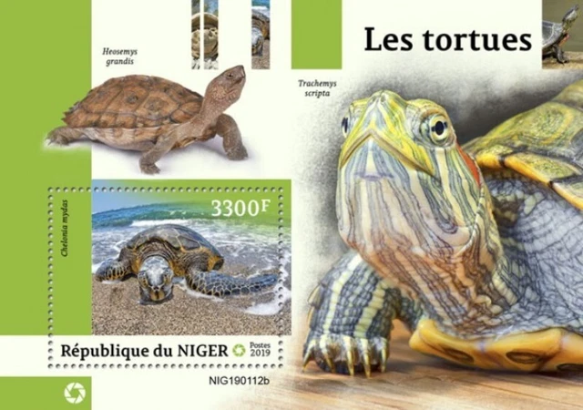 Niger - 2019 Turtles auf Briefmarken - Briefmarke Souvenir Blatt - NIG190112b