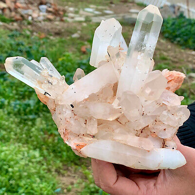 1.58LB A+++Large Natural white Crystal Himalayan quartz cluster /mineralsls 429