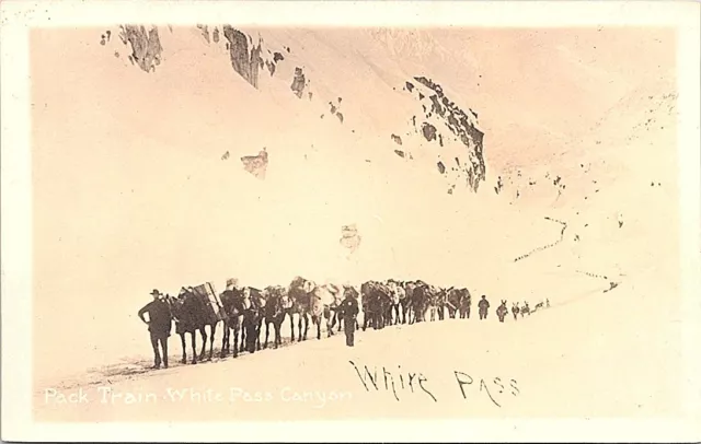 Colorado RPPC Pack Train in White Pass Canyon Rocky Mountains early 1900s