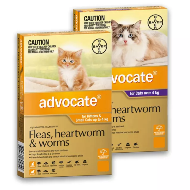 Advocate for Kitten or Cats under or over 4kg Fleas Worms Heartworm Treatment