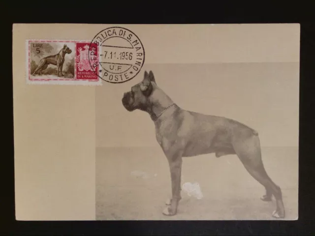 SAN MARINO MK 1956 HUNDE HUND DOG BOXER MAXIMUMKARTE MAXIMUM CARD MC CM c8453