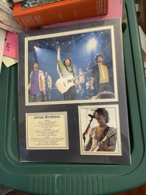 Jonas Brothers World Tour 2009 Front Row Photo Compilation Matted Frame 310