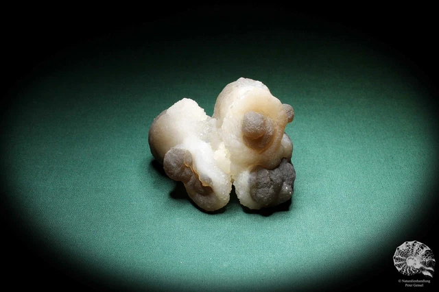 Chalcedon Marokko Stufe Mineral Sammlung Kristall Deko deco