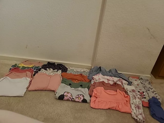 baby girl 6-9 months bundle