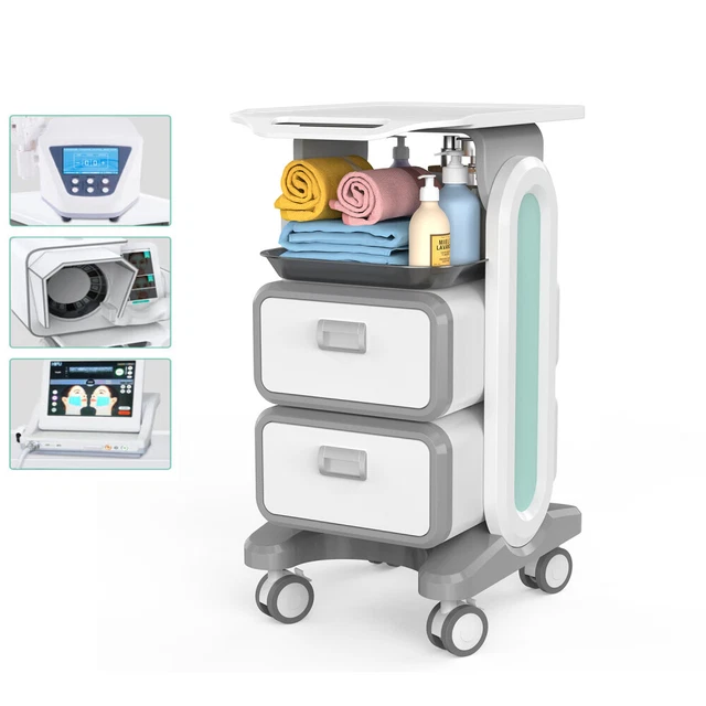 2 Layer Salon Trolley Esthetician Cart Beauty Spa Facial Rolling Storage Station