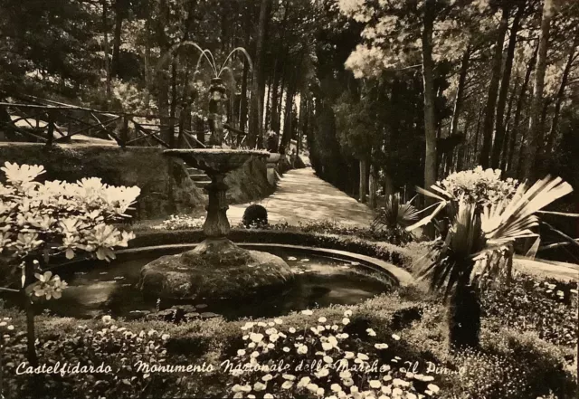Castelfidardo (Ancona) cartolina viaggiata 1966