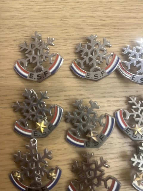 Brevet FLOCON Niveau OURSON Ecole Ski Français ESF JARDIN ENFANTS fab v