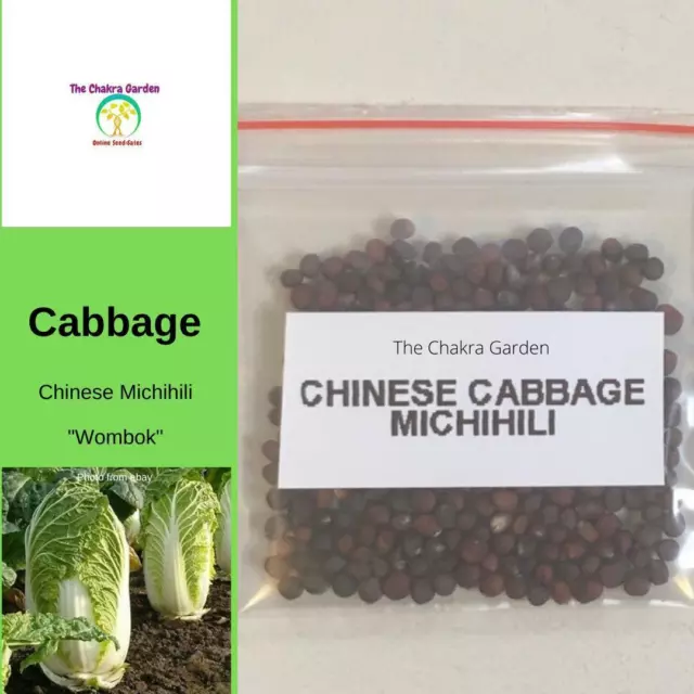 Cabbage ‘Chinese Michihili’ (Wombok) - Vegetable -Heart Chakra-200 seeds