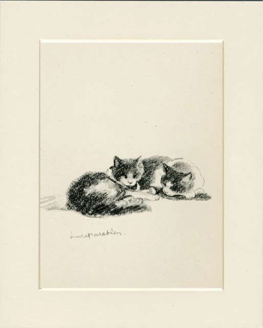 Cats Inseperables Lovely Original Old 1946 Cat Art Print By Lucy Dawson  Mounted