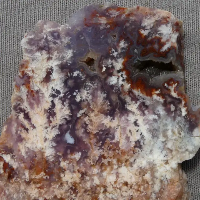 RimRock: 2 LEATHER'S RANCH PLUME AGATE Rough Slabs