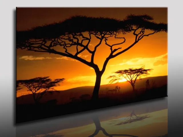 Bild auf Leinwand Afrika Baum Wandbilder, Leinwandbilder, Kunstdrucke, k Poster,