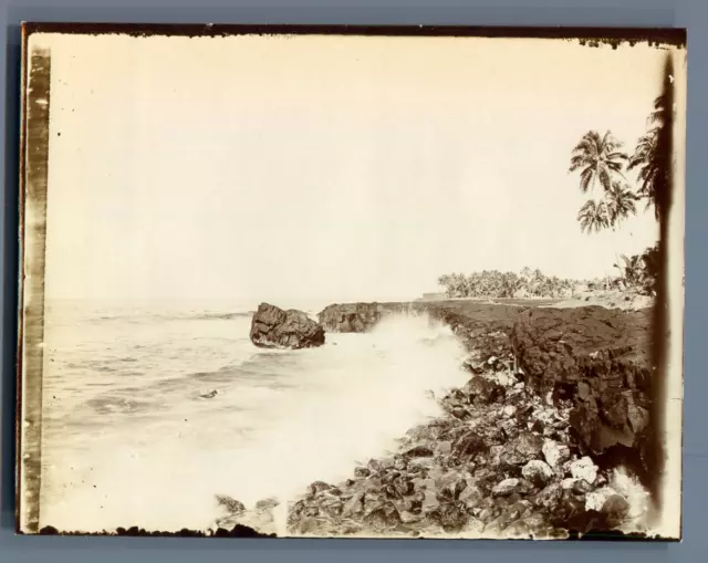 Samoa, Types de Samoa Vintage silver print. Fiji. फ़िजी  Tirage argentique d'é