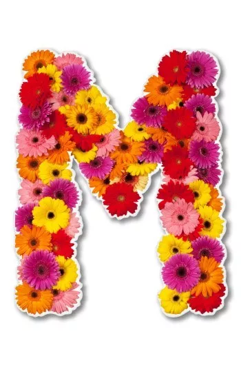 Letter M Flowers Cute Car Laptop Phone Vinyl Sticker  - SELECT SIZE