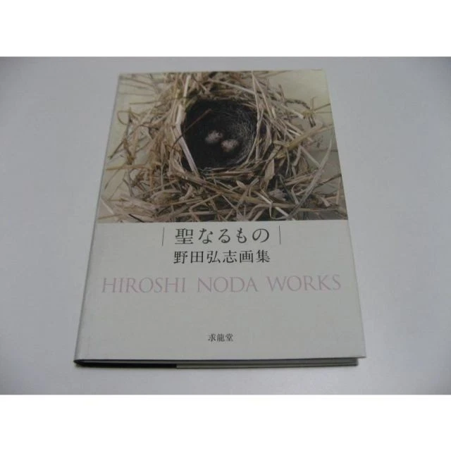 野田弘志 画集 HIROSHI NODA：MASTER WORKS HIROSHI NODA ART Collection Book Used Vintage Artwork