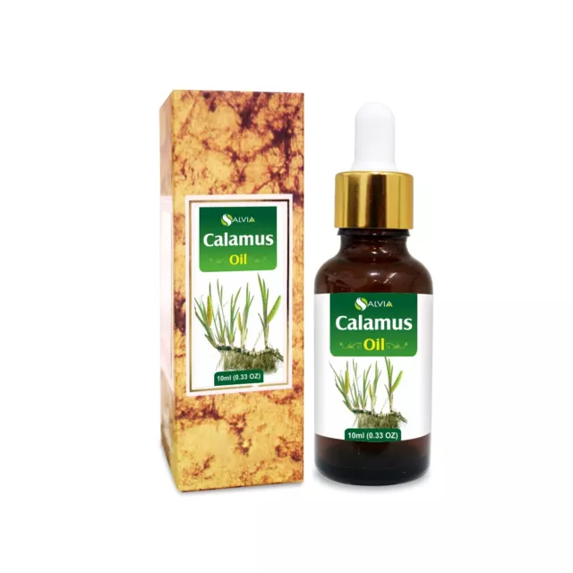 Calamus (Acorus Calamus) - 100% Pure & Natural Essential Oil [10ml - 25 L]