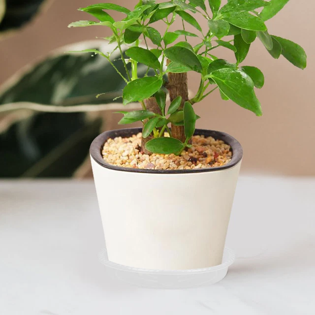 20 PCS plateaux de pots de fleurs PLANT FLOOR PLANT PLANT SAUCER POT DE FLORI 3