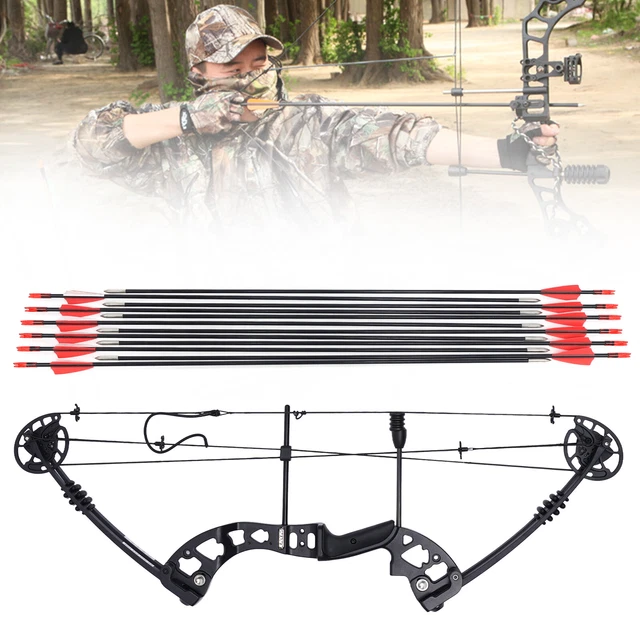3060LB 34& ARCHERY Compound Bow+12*FRP Arrows Hunting Aluminum Alloy