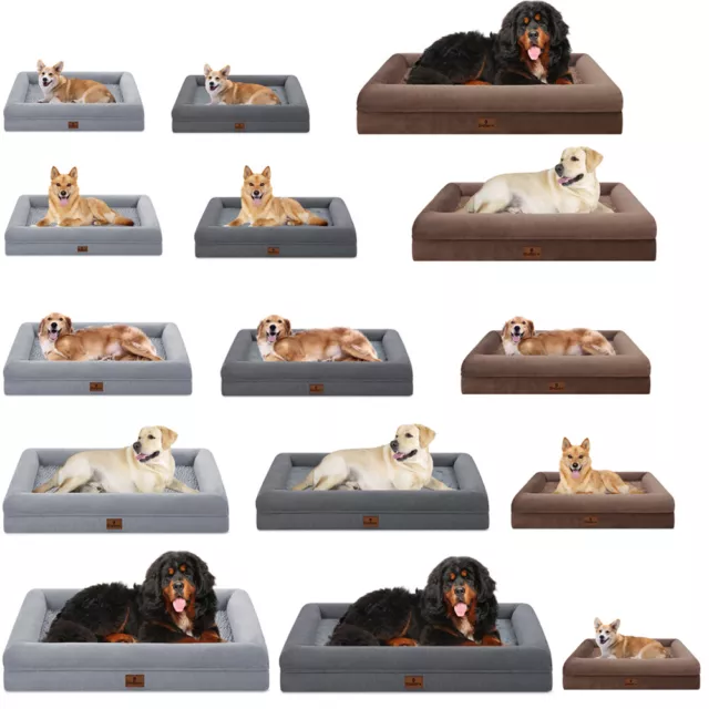 Orthopedic Foam Dog Bed Pet Sofa with Removable Cover and Memory Foam Bolster
