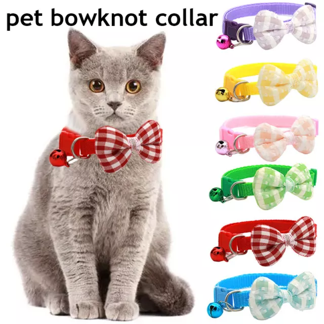 Collier Réglable Pour Chien Et Chat Chaton Petit Animal De Compagnie Avec F