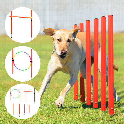 Set de entrenamiento de agilidad de perros Jump Sprungring/Hürden/Slalom juego de varillas