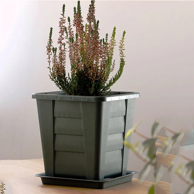 Plastique Accueil Pot de Plante Planteur Pots de fleurs Boîte succulente 5