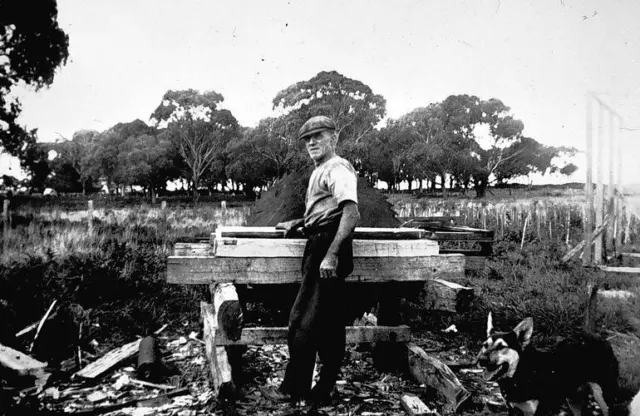 Cobden District, Victoria, 1940 A man operating a small saw mill at S Old Photo