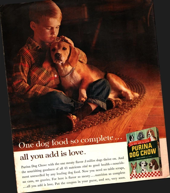 1963 beagle & boy photo Purina Dog Chow vintage print ad NOSTALGIA B7