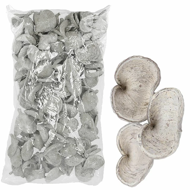 Badam Suelto - 100 Piezas/Bolsa - Blanco Escarcha