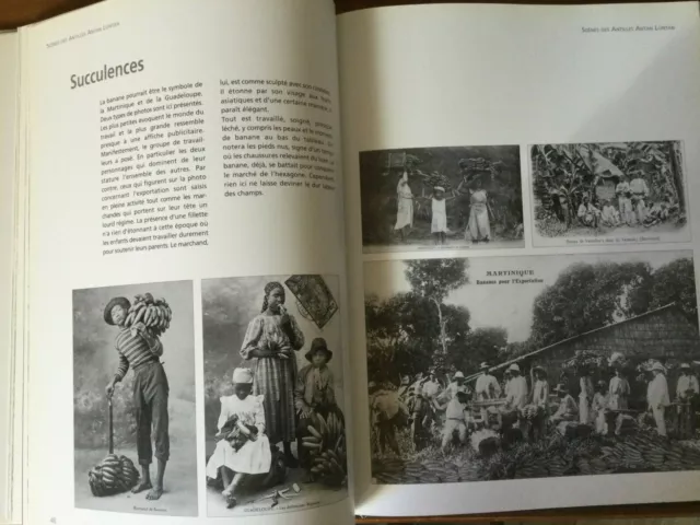Scènes des Antilles à travers la carte postale ancienne par Ernest Pépin 3
