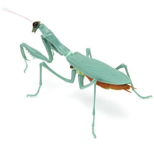 Bandai Gashapon Mantis 02 Action Figure 06 Dark Green normal abdomen 12cm