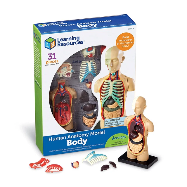 Learning Anatomy