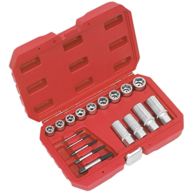 Sealey AK751 Verrou, Clou & Vis Extracteur Set 18pc