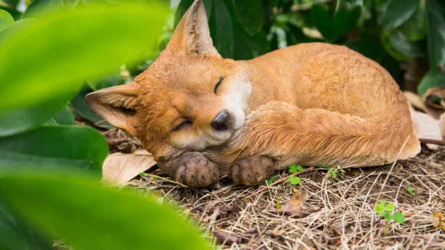 Fox Pup Sleeping Garden Yard Statue Decoration Home Decor Animal Sculpture