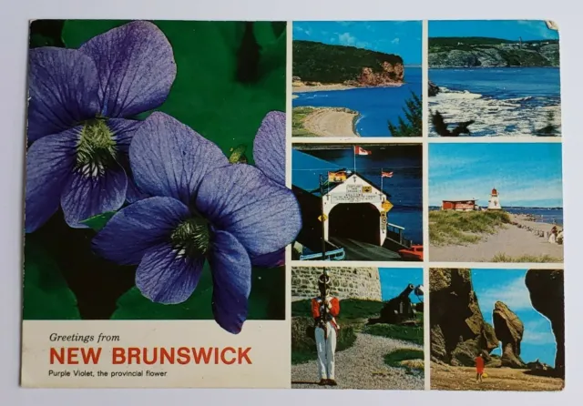 1972 New Brunswick Postcard Greetings Vintage Retro Travel Canada Canadian