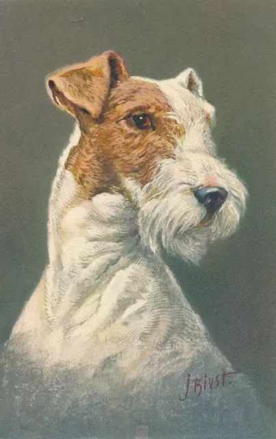 Rivst Signed Fox Terrier Dog Postcard