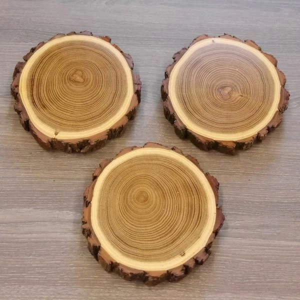 3 Pieza Acacia Jabalí Escudo de Trofeo Placa Brett Jabalí Baumscheibe AF13cm