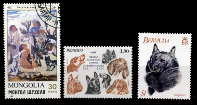 SCHIPPERKE DUTCH DOG INTERNATIONAL POSTAGE STAMPS collection of 3 diferent