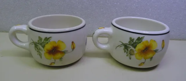 2 Vtg Syracuse O.P.C.O Prairie Mountain Wildflowers Southern Pacific Lines Cups
