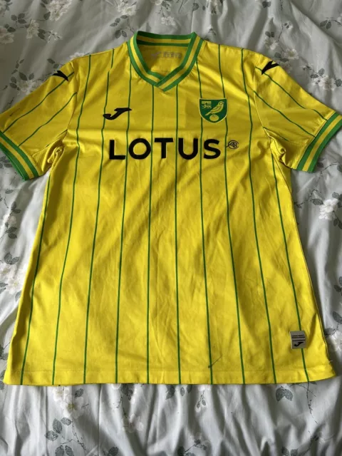 Norwich city Signed Football Shirt XL