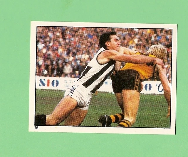 1984  Scanlens Vfl Sticker  #16  Greg Phillips, Collingwood Magpies