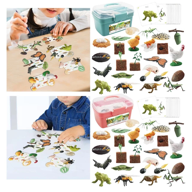JoyJoyful 8 PCS Italian Brainrot, Tralero Jouets à Collectionner, Figures Jouet De Tralalero Tralala, Convient Pour Les Amateurs De Jeux Et Les Enfants à Partir De 6 Ans