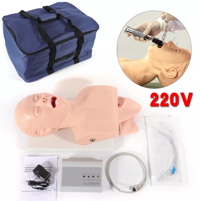 Airway Management Trainer Study Adult Oral Intubation Manikin Teaching Model NEW